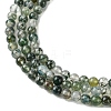 Natural Moss Agate Beads Strands G-K365-C06-01-4