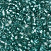 Silver Lined Glass Seed Beads SEED-T007-18A-07-3