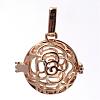 Rack Plating Brass Cage Pendants KK-S751-009KC-1