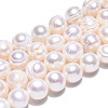 Natural Cultured Freshwater Pearl Beads Strands PEAR-N013-10F-3