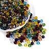 FGB Transparent Glass Seed Beads SEED-N013-01B-01-1