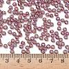 TOHO 6/0 Round Beads X-SEED-TR06-0166B-4