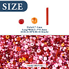 100G 2 Colors Glass Seed Beads SEED-TA0001-17B-4
