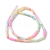 Rainbow Color Dyed Natural Freshwater Shell Beads Strands SHEL-G018-02B-2