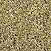 TOHO 11/0 Round Beads SEED-JPTR11-PF0559-2