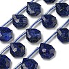 Natural Lapis Lazuli Beads Strands G-P544-C10-01-1