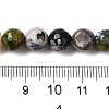 Dyed & Heated Natural Fire Crackle Agate Beads Strands G-P539-C01-05-5