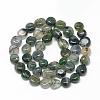 Natural Moss Agate Beads Strands G-R445-8x10-01-2