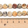 Natural Crazy Agate Beads Strands G-M454-B10-4
