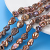 Natural Keshi Pearl Beads Strands PEAR-S021-082C-5