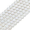3 Strands Wrinkle Textured Shell Pearl Beads Strands BSHE-ME0001-02-1