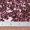 MIYUKI Delica Beads X-SEED-J020-DB1751-4