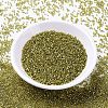 MIYUKI Delica Beads X-SEED-J020-DB2164-2