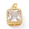 Real 18K Gold Plated Brass Inlaid Cubic Zirconia Charms ZIRC-L100-073G-07-2