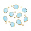K9 Glass Charms GLAA-T023-10C-1