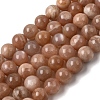 Natural Sunstone Beads Strands GG-CBA56E5-01A-2