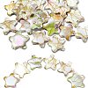 20Pcs Drawbench Style Natural Freshwater Shell Beads BSHE-CJ0001-08-1