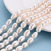 Natural Cultured Freshwater Pearl Beads Strands PEAR-Q015-036B-01-4