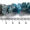 Raw Rough Natural Apatite Beads Strands G-P528-A15-01-4