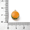 Alloy Enamel Charm LS-ENAM-E362-05E-3