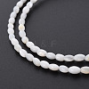 Natural Freshwater Shell Beads Strands SHEL-N027-08A-4