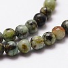 Natural African Turquoise(Jasper) Beads Strands LS-G-D840-90-10mm-3