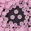 Frosted Transparent Acrylic Beads OACR-P029-03B-05-1
