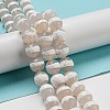Tibetan Style dZi Beads Strands G-P526-D06-02-2