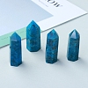 Point Tower Natural Apatite Home Display Decoration PW-WG91959-01-3