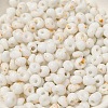 Baking Paint Glass Seed Beads X1-SEED-F006-01A-15-3