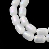 Natural Selenite Beads Strands G-F750-B-21-3