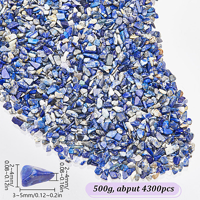 500G Natural Lapis Lazuli Chip Beads G-SP0001-07-1