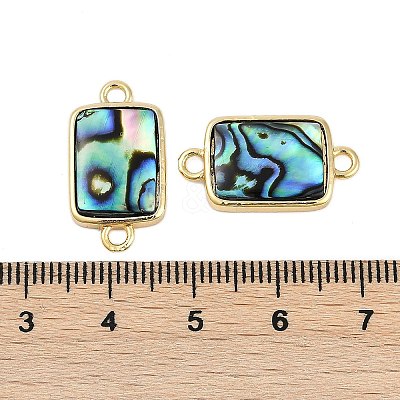 Brass Pave Natural Paua Shell Connector Charms KK-M299-01B-G-1