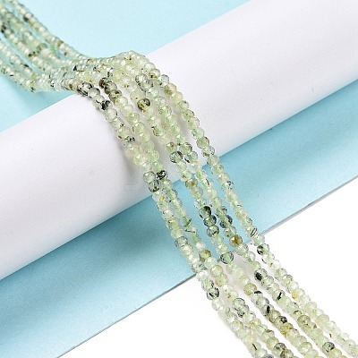 Natural Prehnite Beads Strands G-E194-06-1