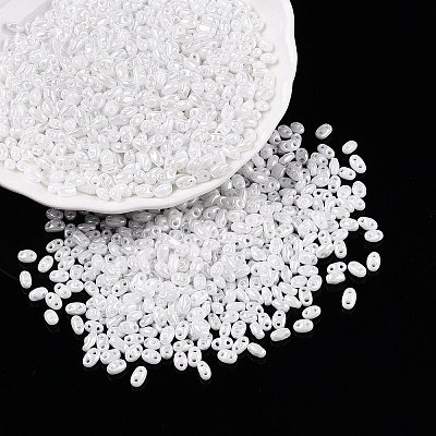 Opaque Colours Luster Glass Seed Beads SEED-T006-02L-1