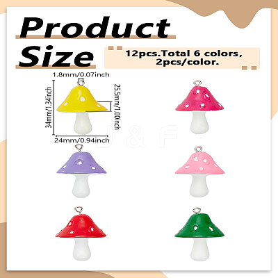 12Pcs 6 Colors Plastic Pendants KY-LP0001-34-1