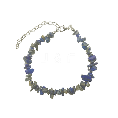 Natural Sodalite Chips Beaded Bracelet TJ9442-6-1