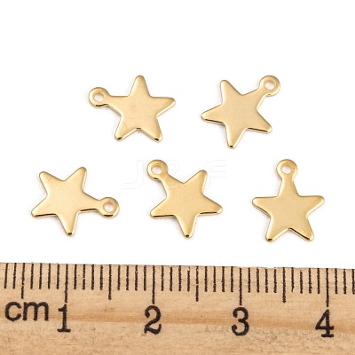 304 Stainless Steel Charms STAS-G190-27G-B-1