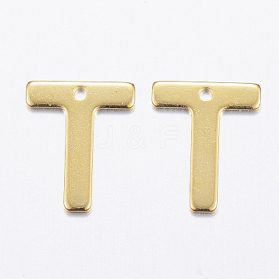 304 Stainless Steel Charms LS-X-STAS-P141-T-1
