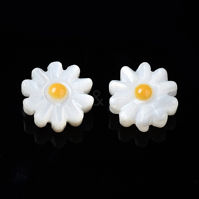 Natural Freshwater Shell Beads X-SHEL-N003-20B-01-1