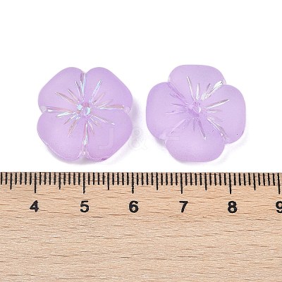 Frosted Transparent Acrylic Beads OACR-P029-19B-04-1