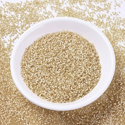 MIYUKI Delica Beads SEED-X0054-DB0621-1