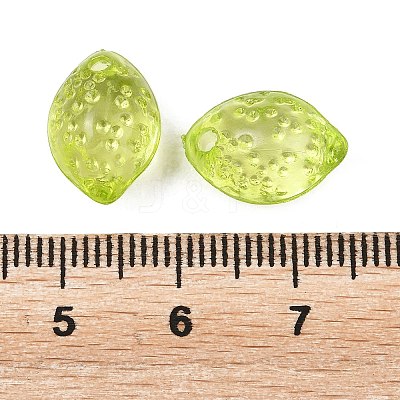 Transparent Acrylic Pendants OACR-G065-01C-1