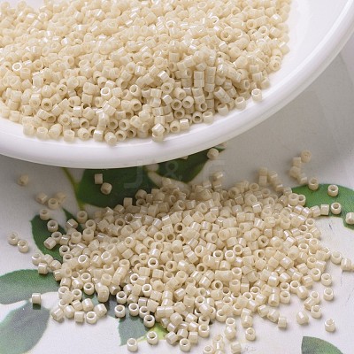 MIYUKI Delica Beads X-SEED-J020-DB0204-1