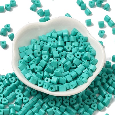 Baking Paint Glass Bead SEED-H002-K-D304-1