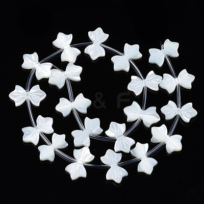 Natural White Shelll Beads Strands SSHEL-S278-123B-1