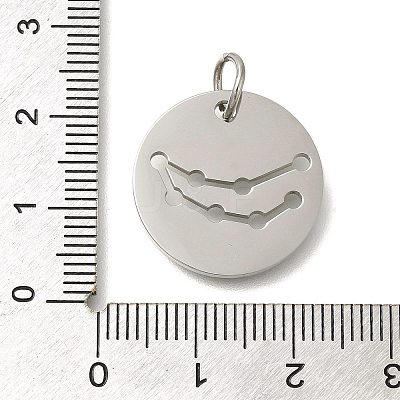 Anti-Tarnish 304 Stainless Steel Pendants STAS-M074-02H-P-1