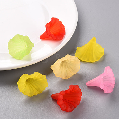 Transparent Acrylic Beads BSF796M-1