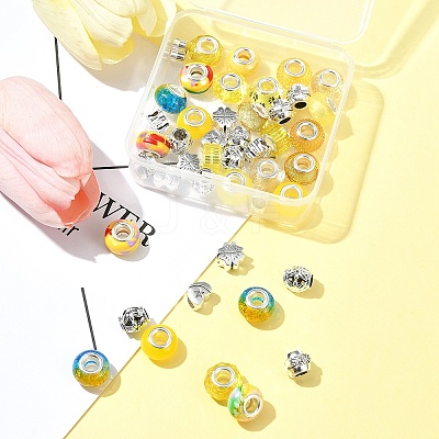 DIY Tibetan Style Alloy & Resin European Beads Making Finding Kits DIY-FS0006-78B-1