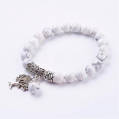 Natural Howlite Stretch Bracelets BJEW-F262-A06-1